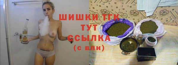 гидра Белоозёрский