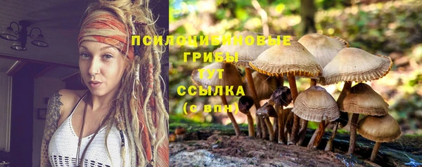 MDMA Premium VHQ Белокуриха