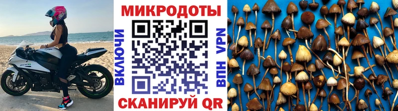 Галлюциногенные грибы прущие грибы  сайты даркнета телеграм  Емва  где найти наркотики  блэк спрут ссылки 